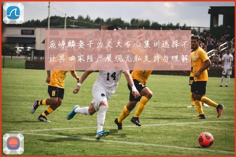 庞峥麟妻子为丈夫专心集训选择不让其回家陪产展现无私支持与理解