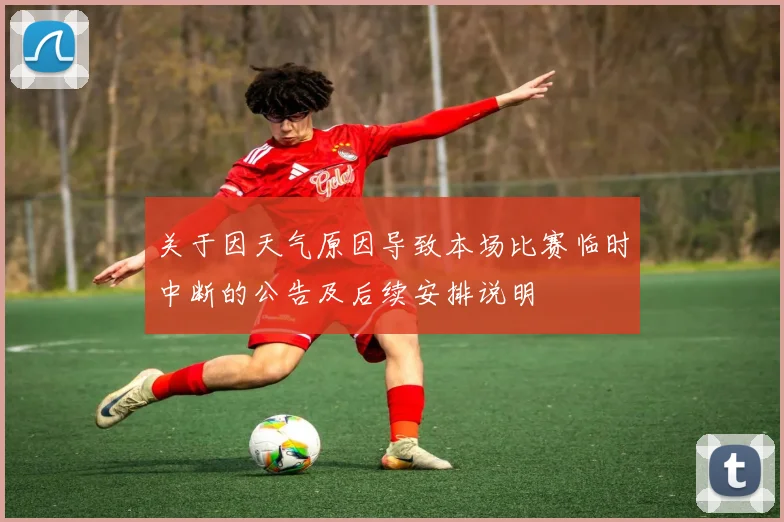 关于因天气原因导致本场比赛临时中断的公告及后续安排说明