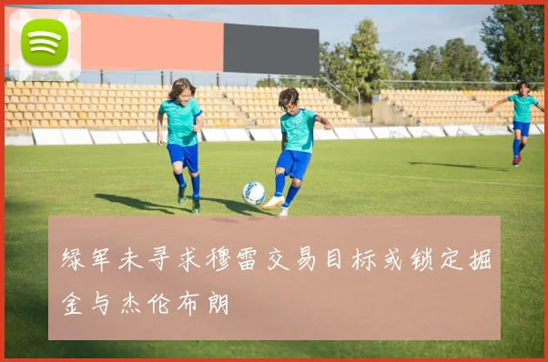 绿军未寻求穆雷交易目标或锁定掘金与杰伦布朗