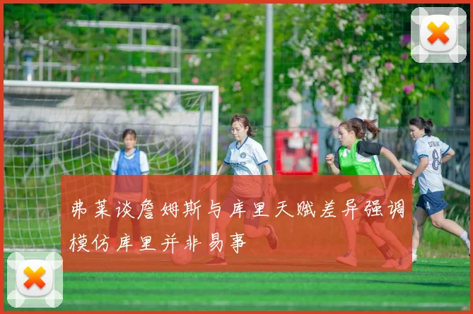 弗莱谈詹姆斯与库里天赋差异强调模仿库里并非易事